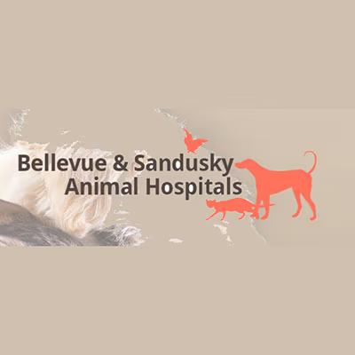 facility profile image