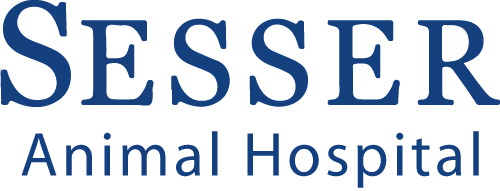 staff profile