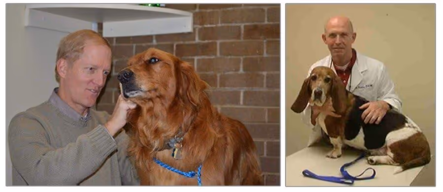 Small Animal Clinic - Pet services facility