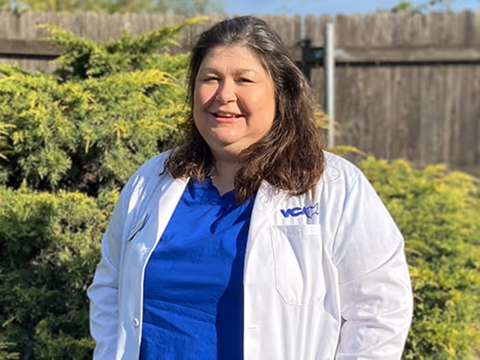 staff profile