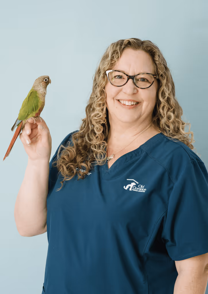staff profile