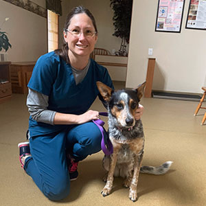 staff profile