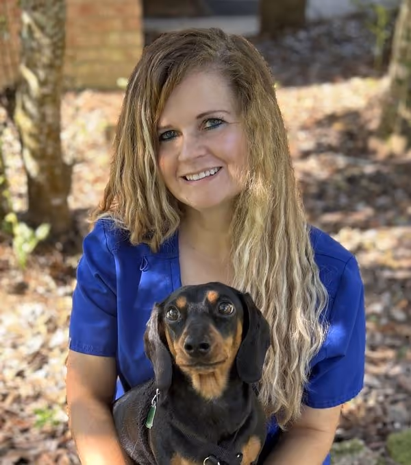 staff profile