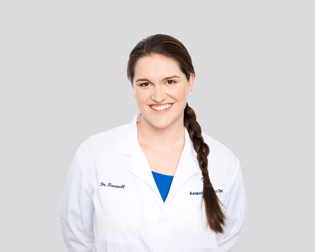 staff profile