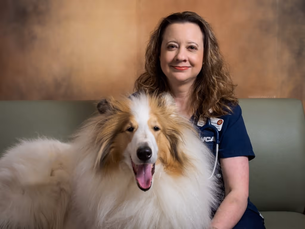 staff profile