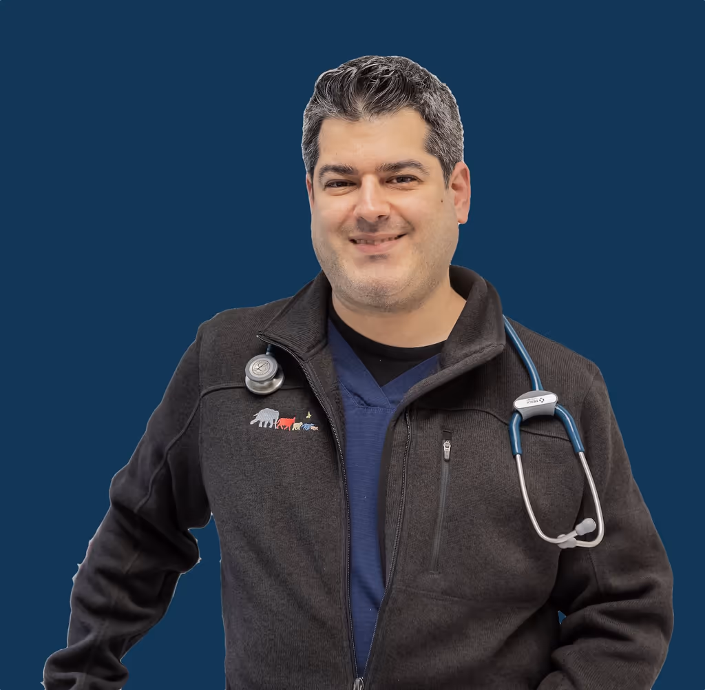staff profile