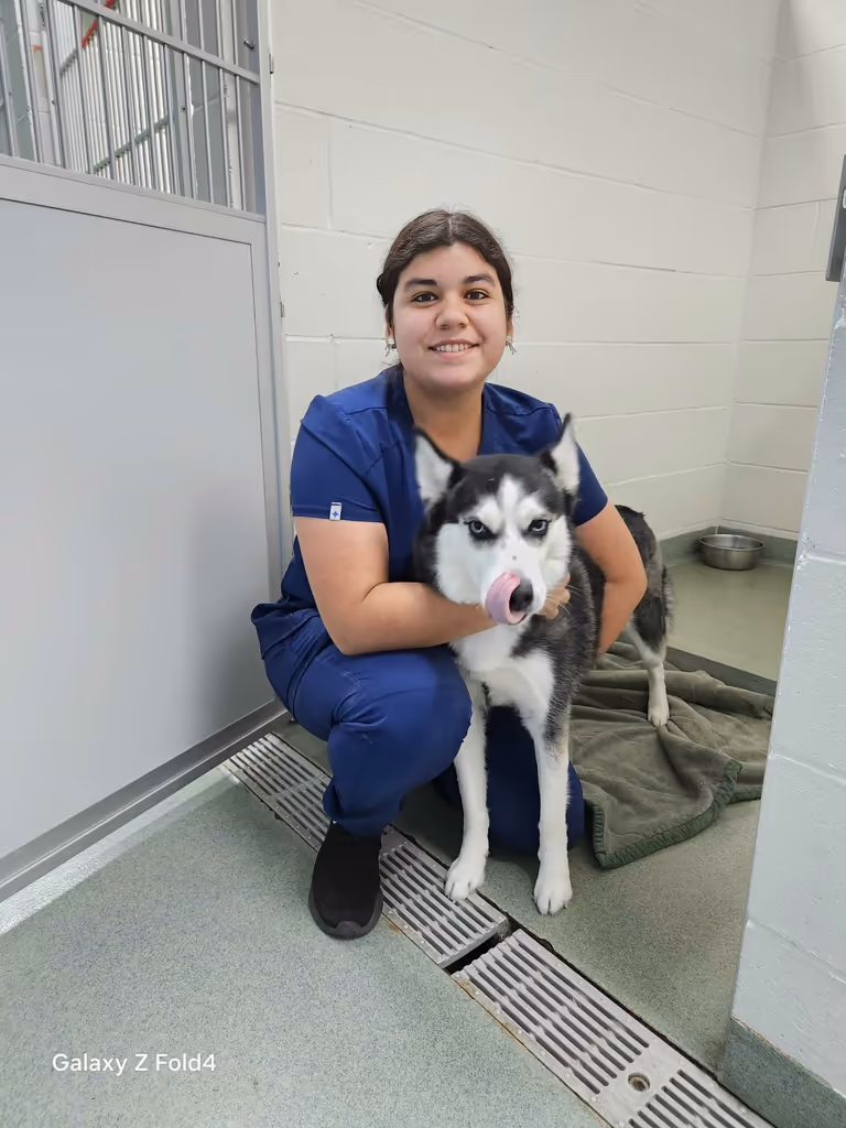 staff profile