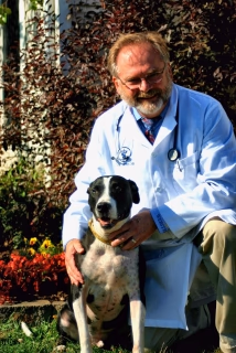 staff profile