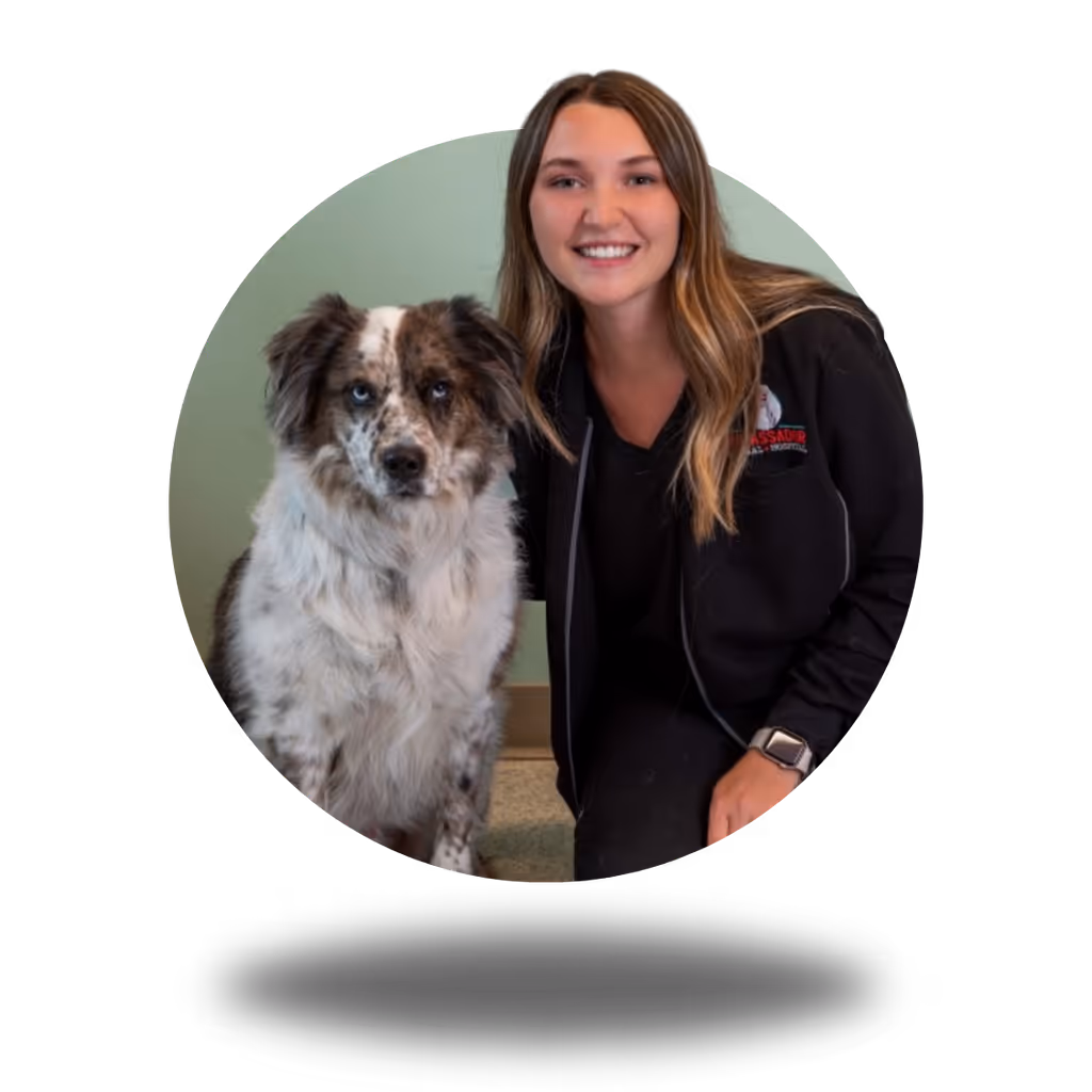 staff profile