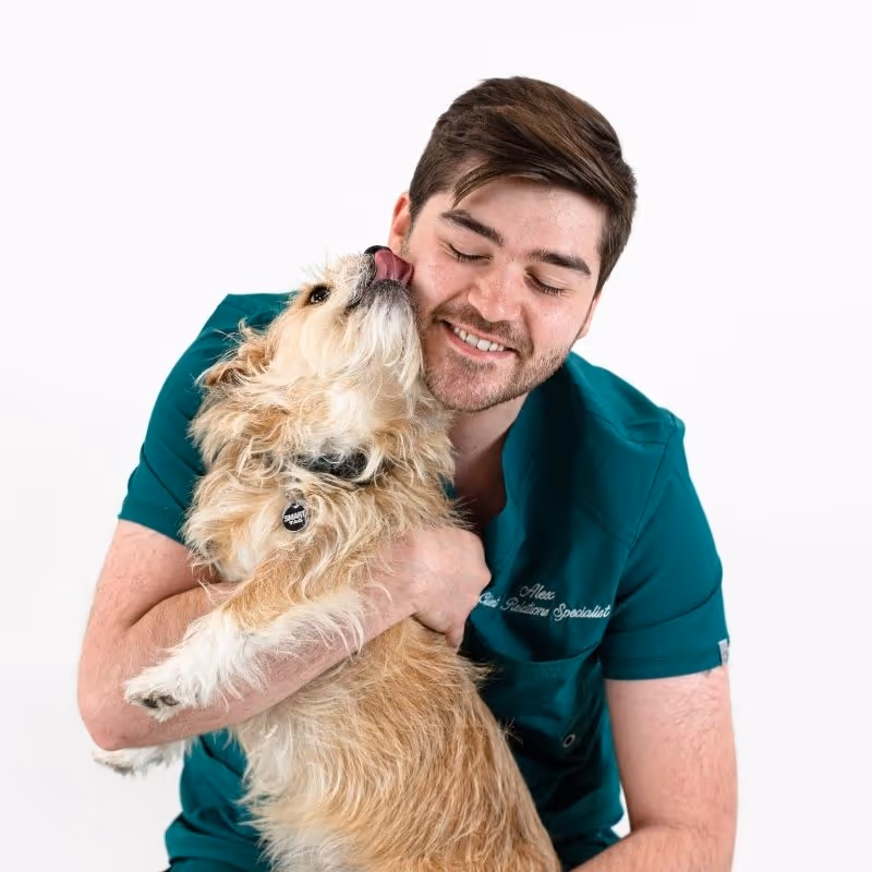 staff profile