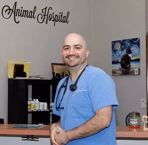 staff profile