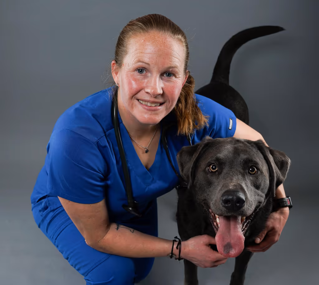 staff profile