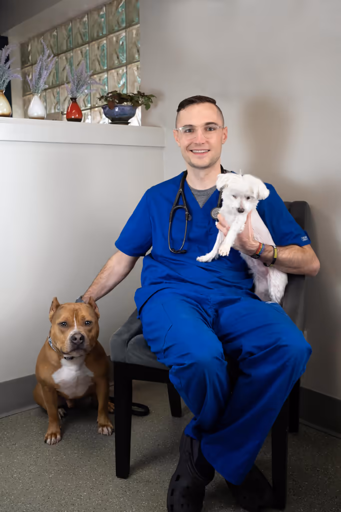 staff profile