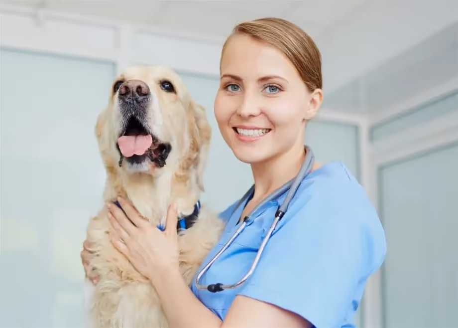 staff profile
