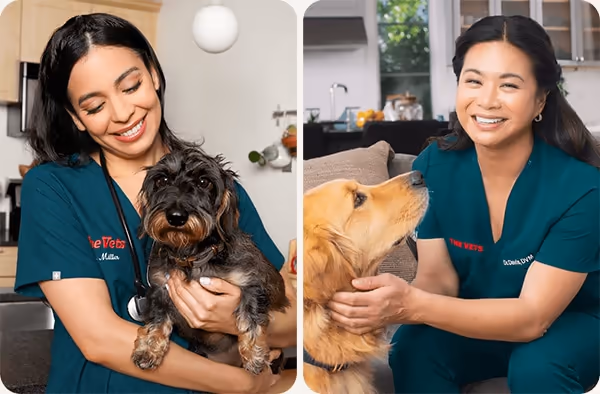 staff profile