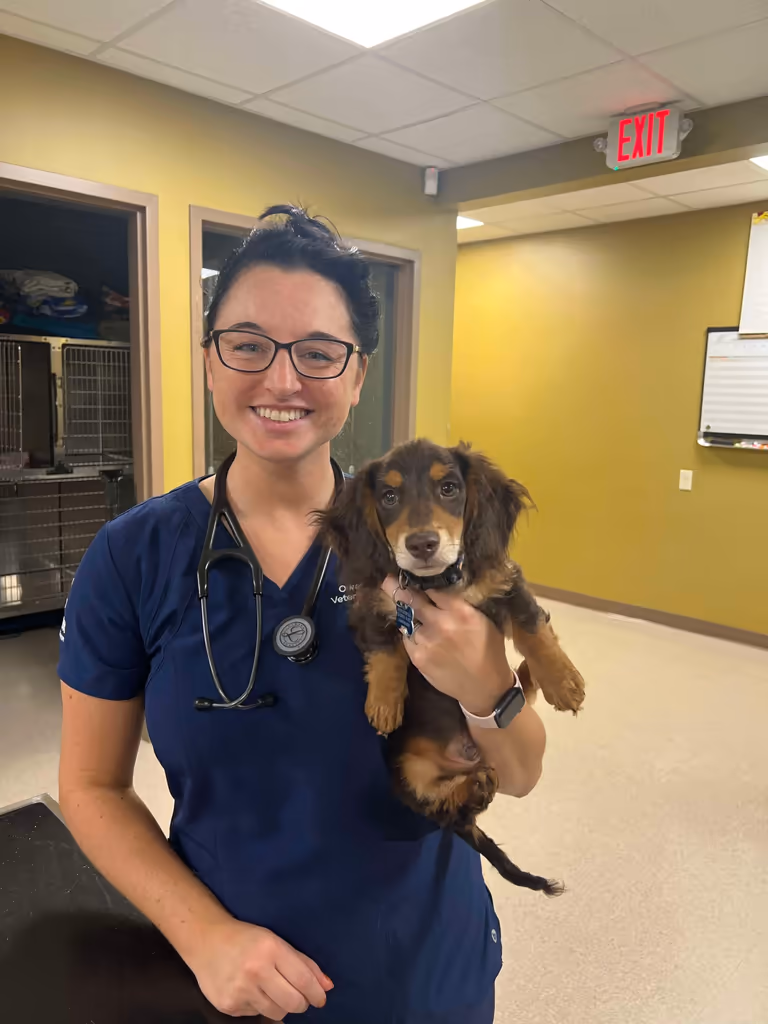 staff profile