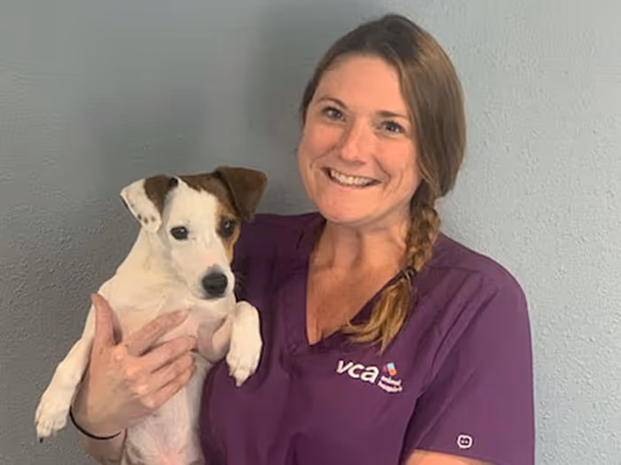 staff profile