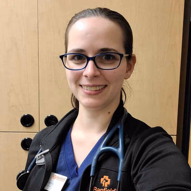 staff profile