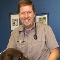 staff profile