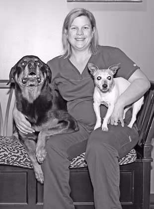 staff profile