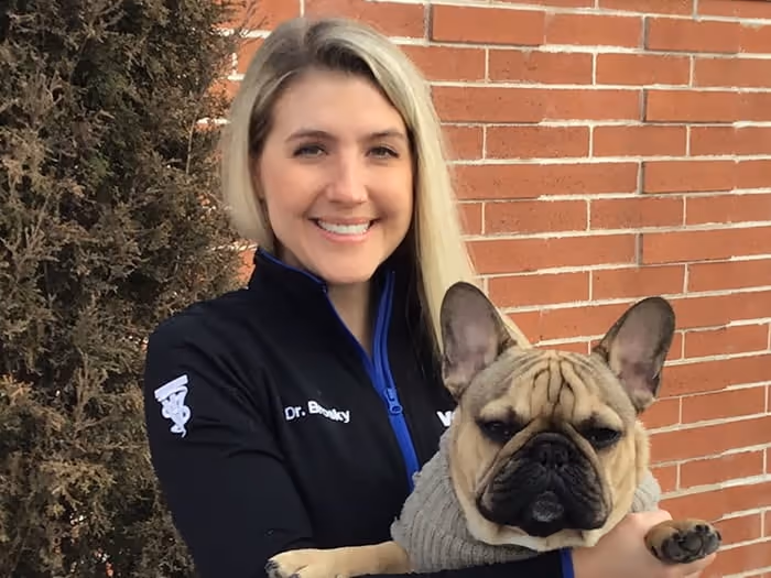 staff profile