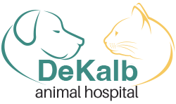 Dekalb Animal Hospital - Pet services facility