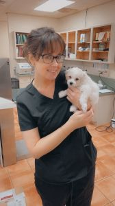 staff profile