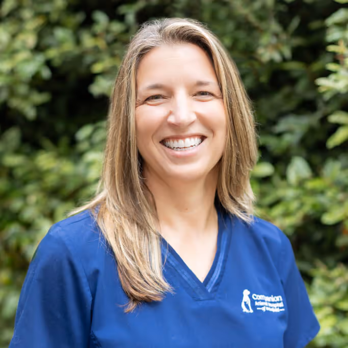 staff profile