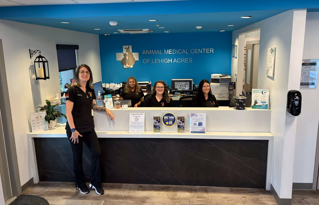 staff profile