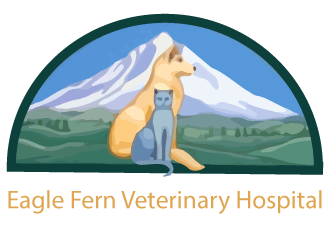 staff profile