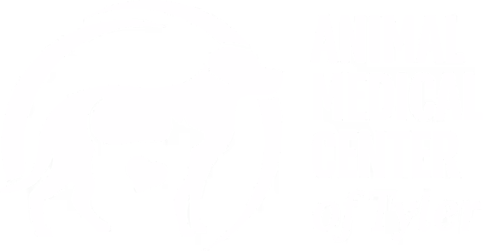 staff profile
