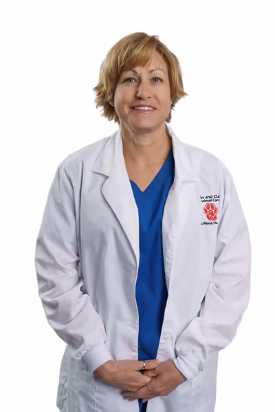 staff profile