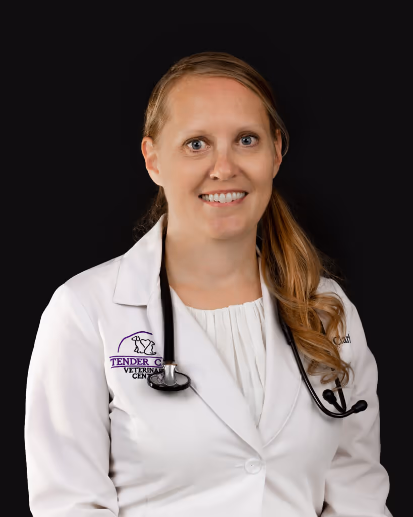 staff profile