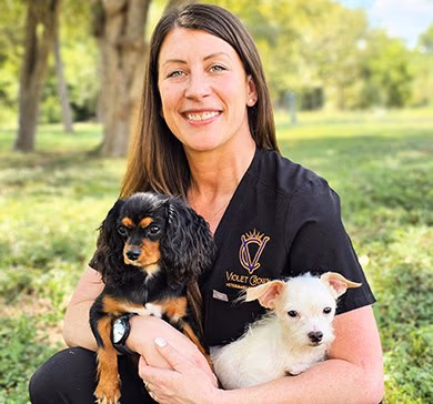 staff profile
