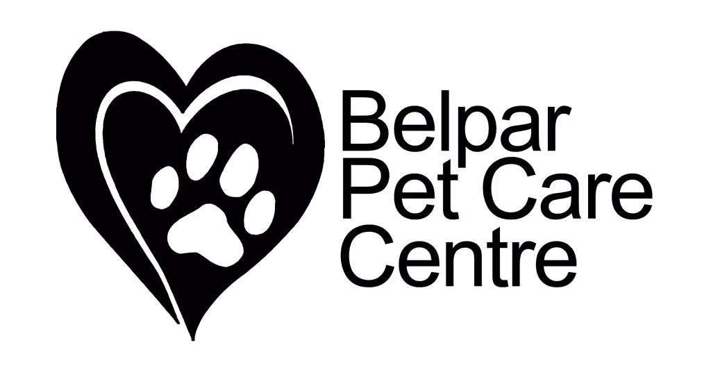 staff profile