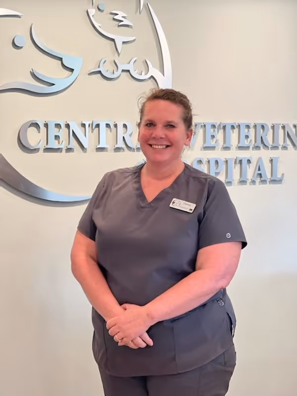 staff profile