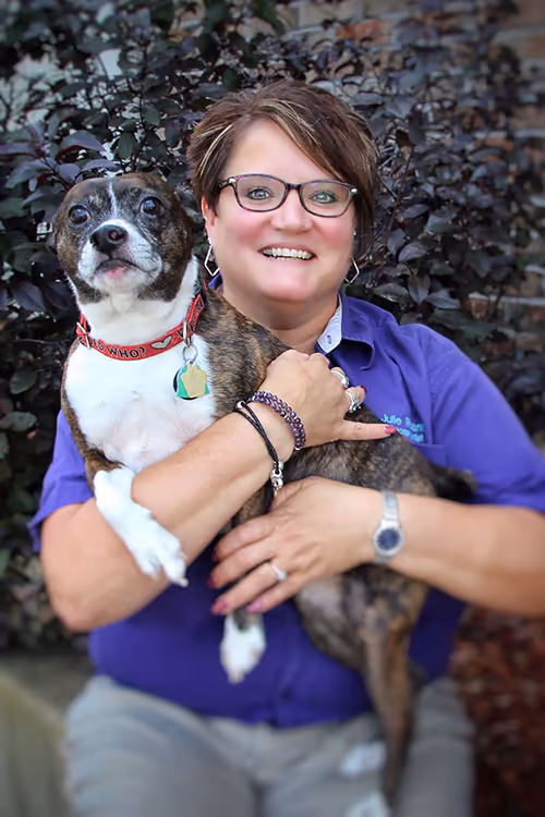 staff profile