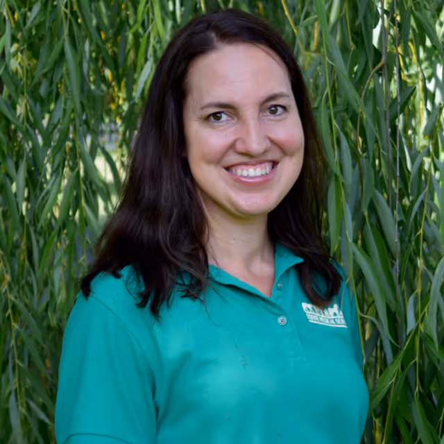 staff profile