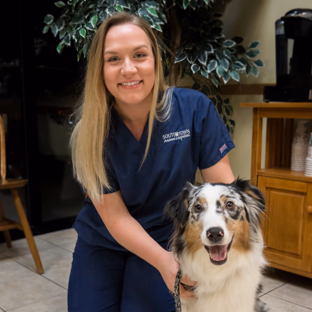 staff profile