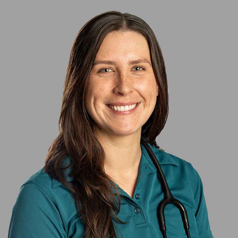 staff profile