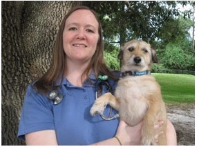 staff profile