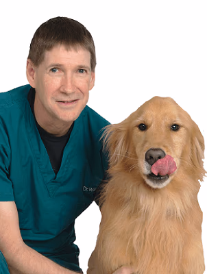 staff profile