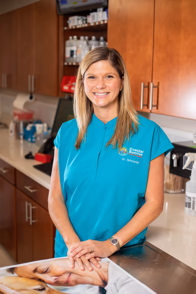 staff profile