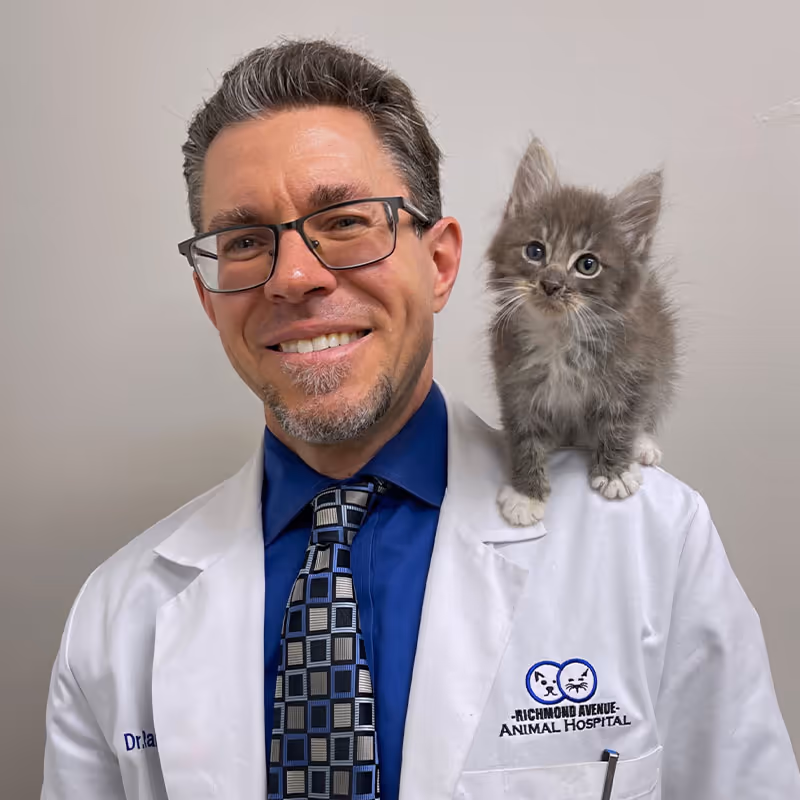 staff profile