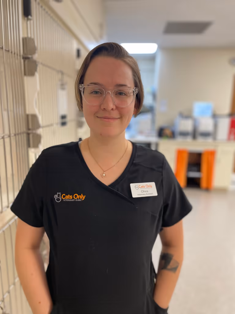 staff profile