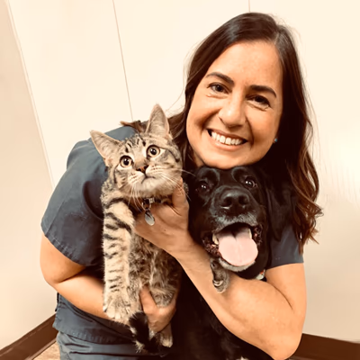 staff profile