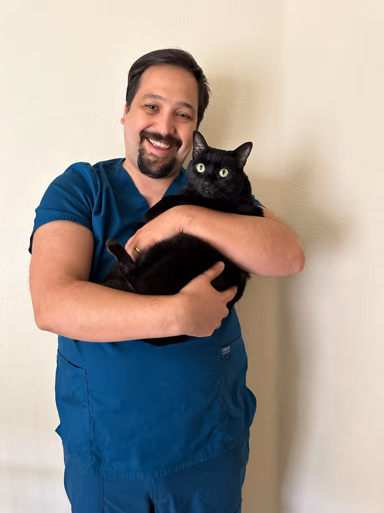 staff profile