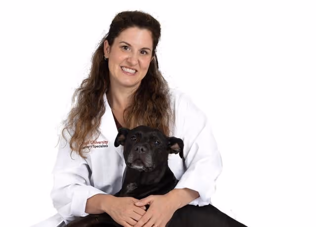 staff profile