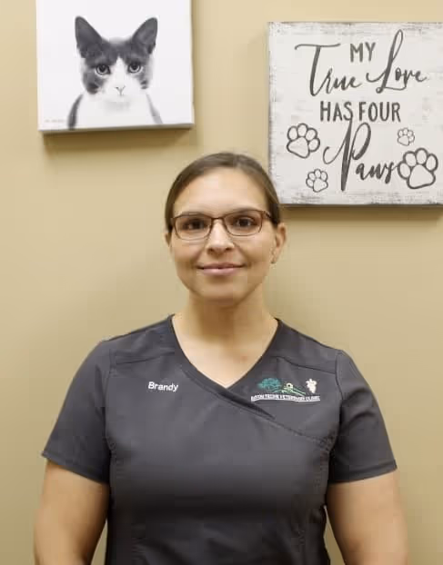 Profile photo of Brandy Haynes, Lead Assistant / Technician