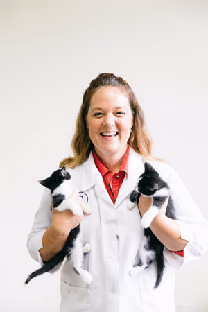 staff profile